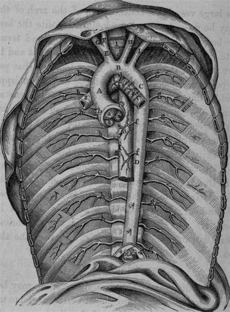 Elizabeth Karin, MD. 4.9 / 5 (159 ratings) Medica