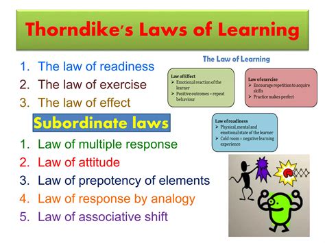Thorndike Laws Of Learning
