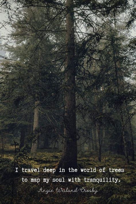 Thoughts On Trees