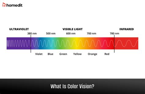 three color vision