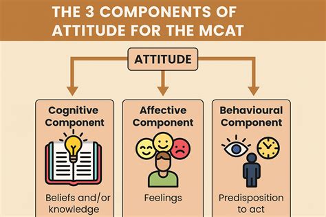 Three Component Model Of Attitudes