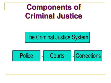 Three Components Of The Criminal Justice System