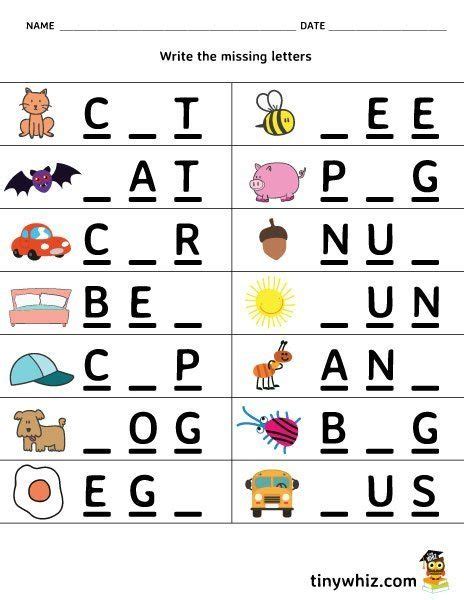 Three Letter Words Activity Worksheets Cleverlearner 3 Letters Worksheet For Kindergarten - 3 Letters Worksheet For Kindergarten