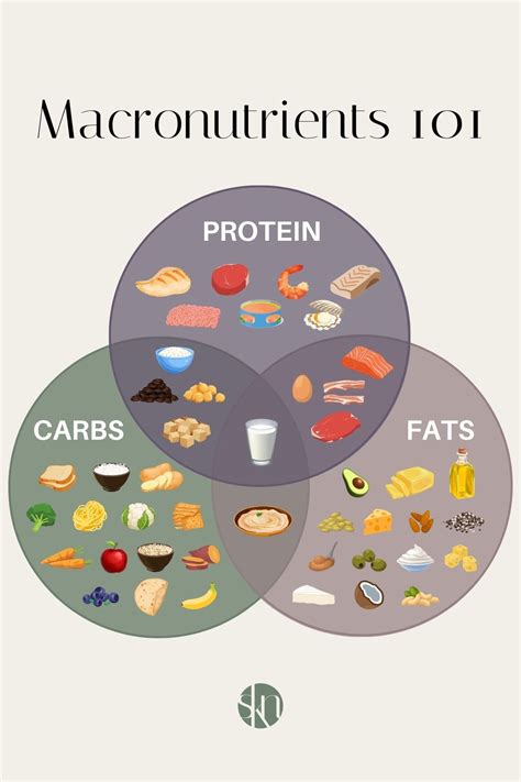 Three Macronutrients
