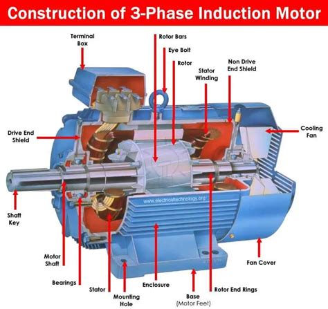 three phase induction motors