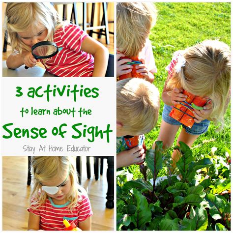 Three Preschool Sense Of Sight Activities Stay At Sense Of Sight Preschool - Sense Of Sight Preschool