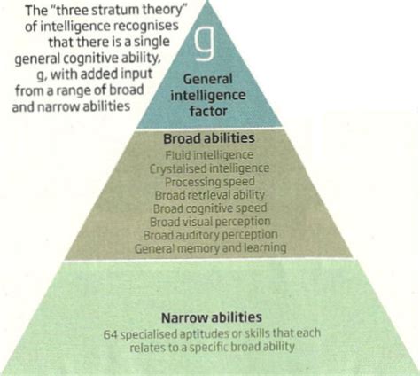 Three Stratum Theory
