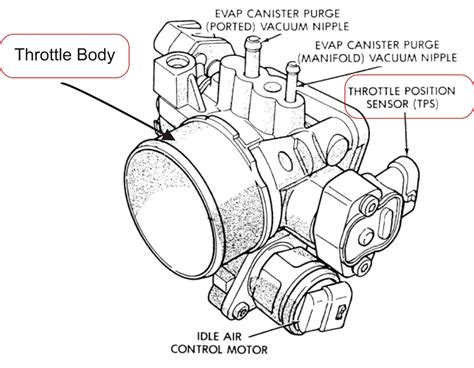 Throttle Body Injection Position Sensor