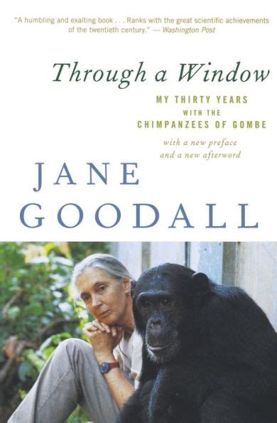 through a window my thirty years with the chimpanz