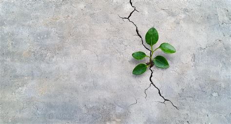 Through The Ground