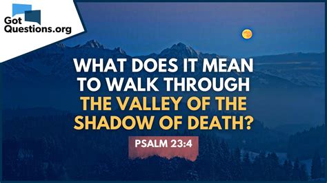 Through The Valley Of Shadows Living Wills Intensive Care And Making Medicine Human