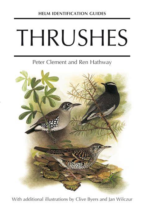 Thrushes Helm Identification Guides