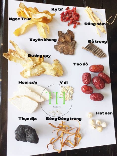thuốc bắc | Thuc bc thuc nam nn ung nng