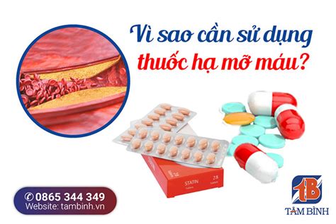 thuốc mỡ máu | Cc loi thuc m mu iu tr