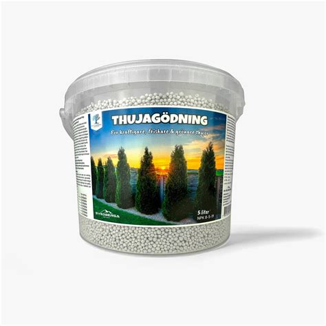 thuja gödning