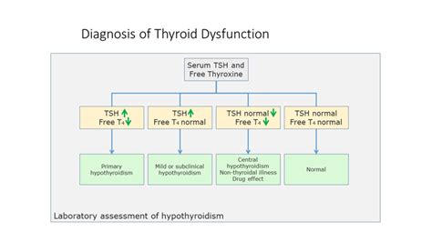 thyroid reflex test