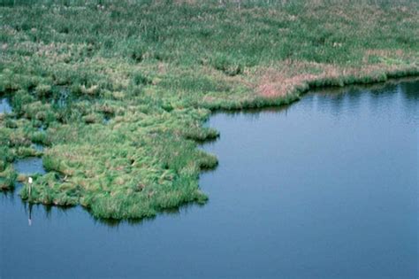 Tidal Area