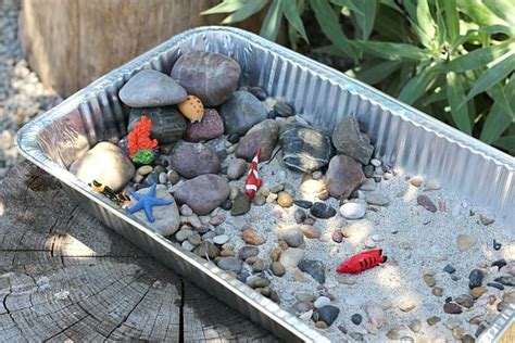 Tide Pool Science Experiment For Kids Buggy And Tide Science - Tide Science
