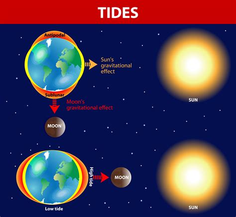 Tides Earth Science   Tide Times And Tide Chart For Sooke - Tides Earth Science