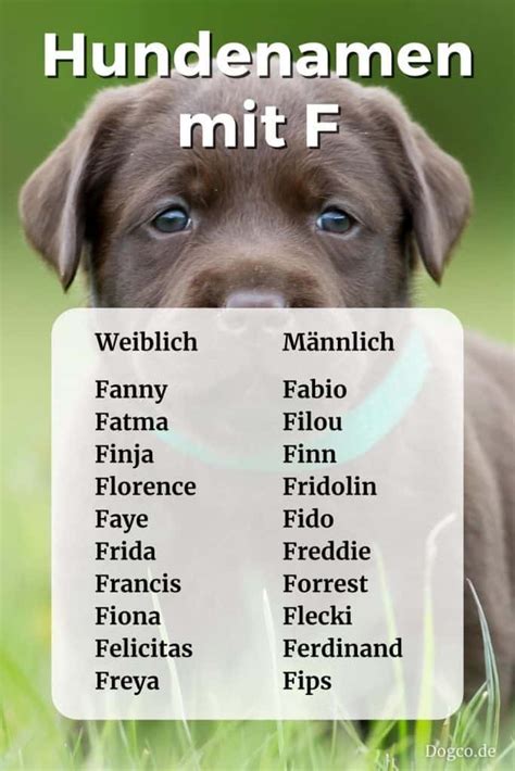 Tiername Mit F