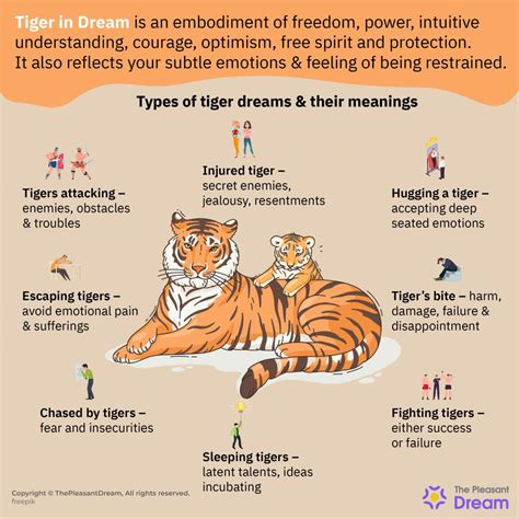 Tiger In Dream