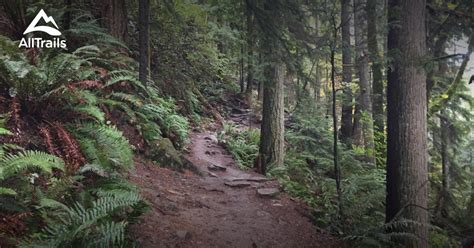 tiger mountain washington