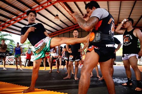 tiger muay thai kick training