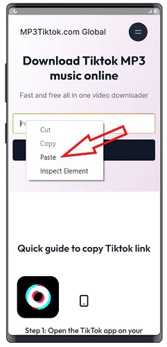 TIKTOKDOWNLOADER MP3 - Unduh TikTok mp3 online