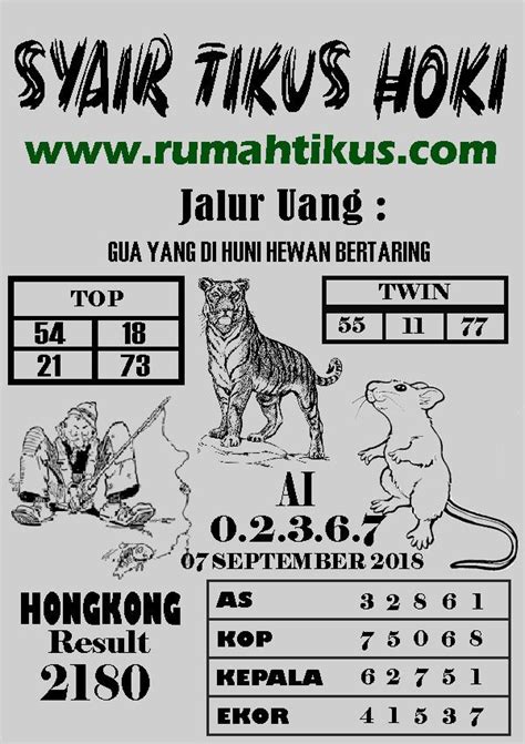 TIKUS4D HOKI