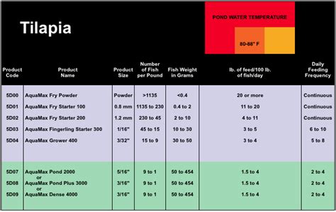 Tilapia Farming Guide