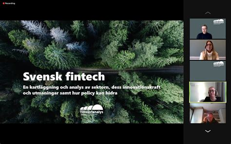 tillväxtanalys fintech