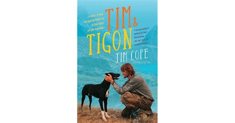tim tigon