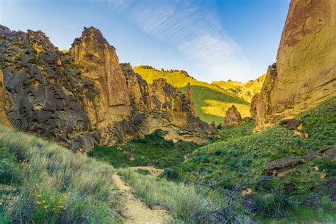 timber gulch oregon