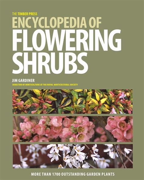 timber press encyclopedia of flowering shrubs more