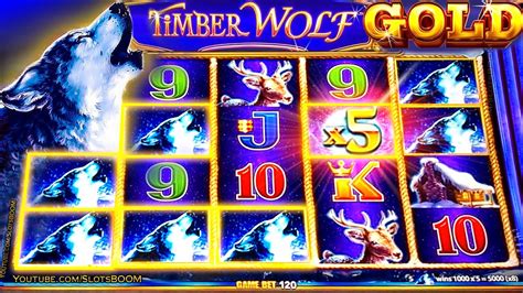 timber wolf gold