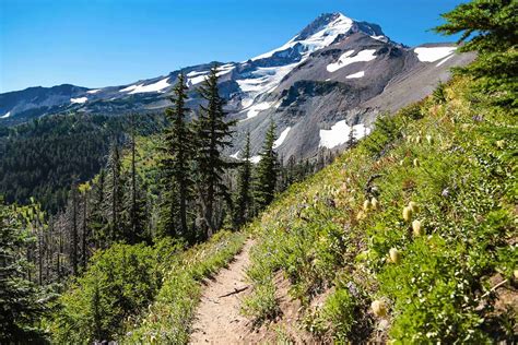 timberline trail oregon