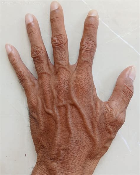 time for a visible hand lessons from the 2008 worl