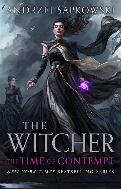 Full Download Time Contempt Witcher Andrzej Sapkowski 