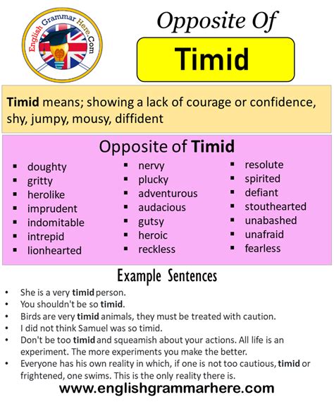 Timid Meaning