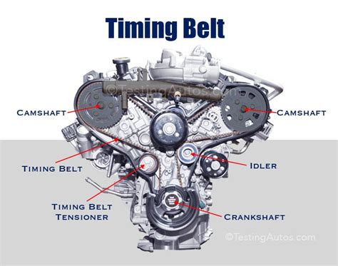 Read Online Timing Belt Guide Schedule 