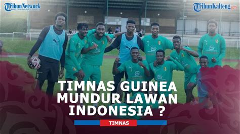 TIMNAS GUINEA MUNDUR：Puluhan Warga Guinea Tewas akibat Desak-desakan di Stadion - IDN