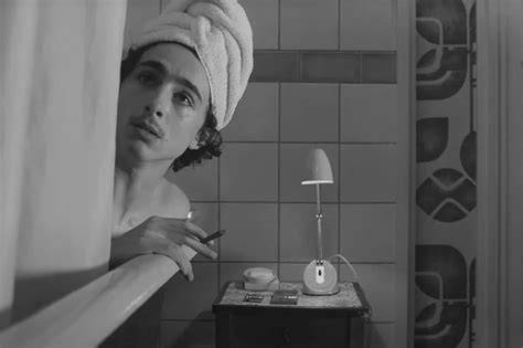 timothée chalamet nude