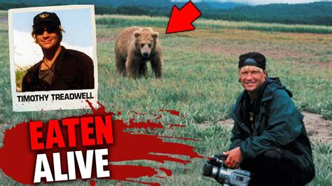 Timothy Treadwell Bear