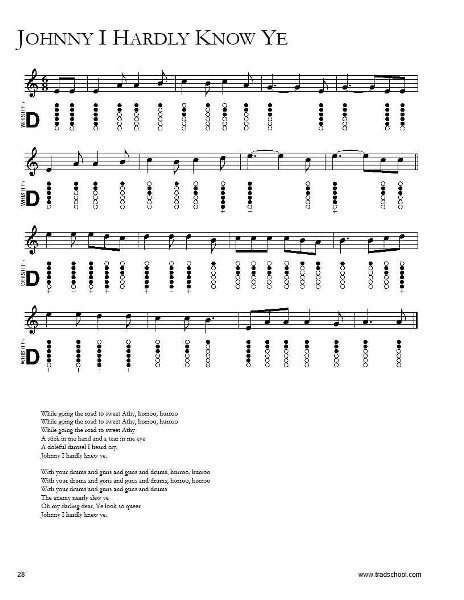 tin whistle for beginners volume 2 irish tunes ca