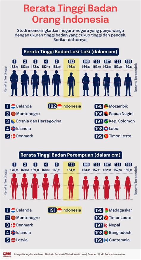 tinggi rata rata orang indonesia