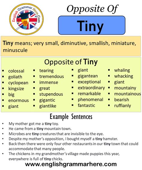 tiny meaning english