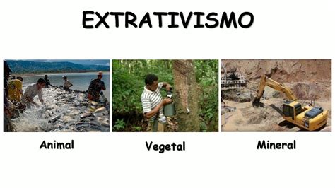 Tipo De Extrativismo