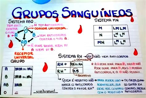 Tipo Sanguíneo A