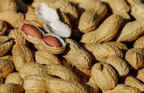 Tipos De Cacahuates