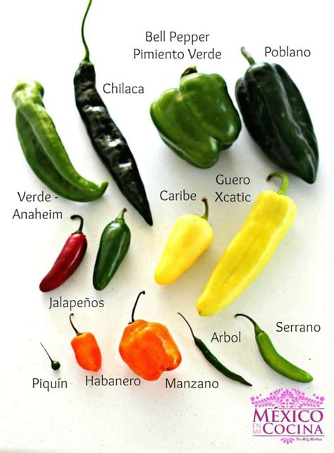 Tipos De Chiles